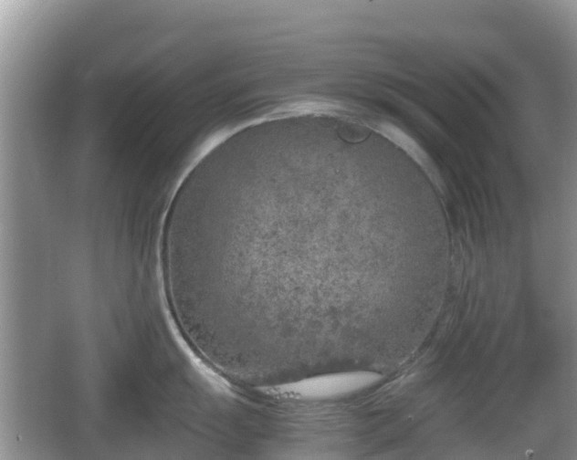 X0000067481055200604101224