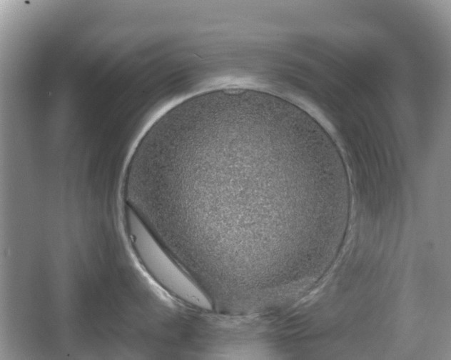 X0000067481056200604101224