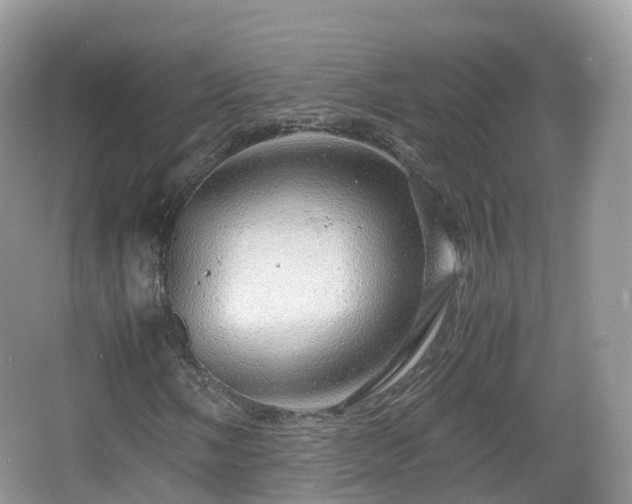 X0000067481058200604101223