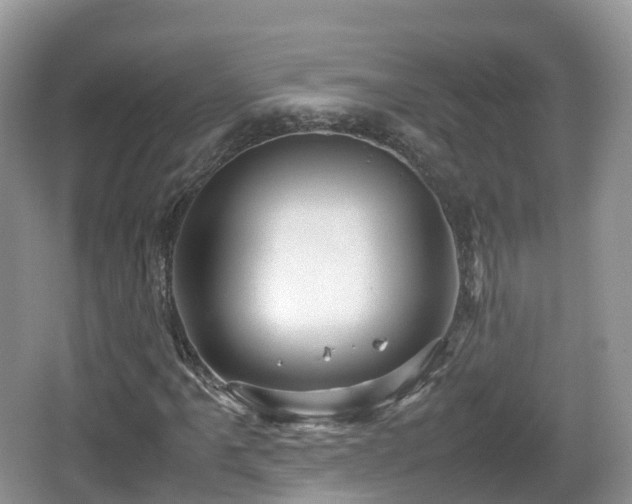 X0000067481061200604101223