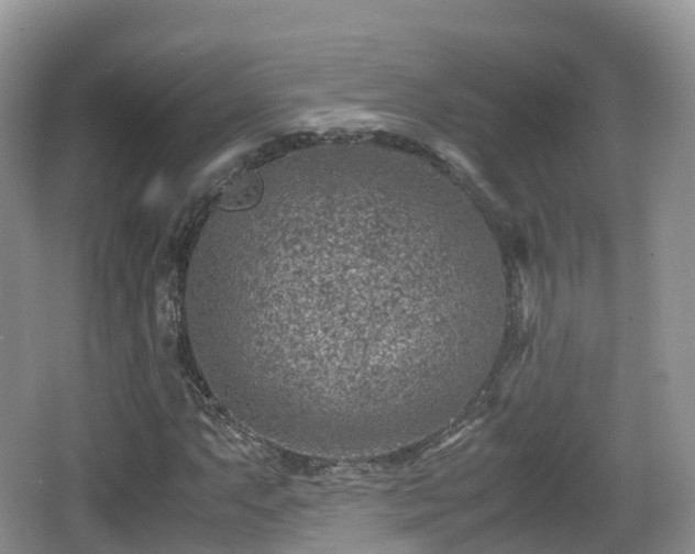 X0000067481063200604101223