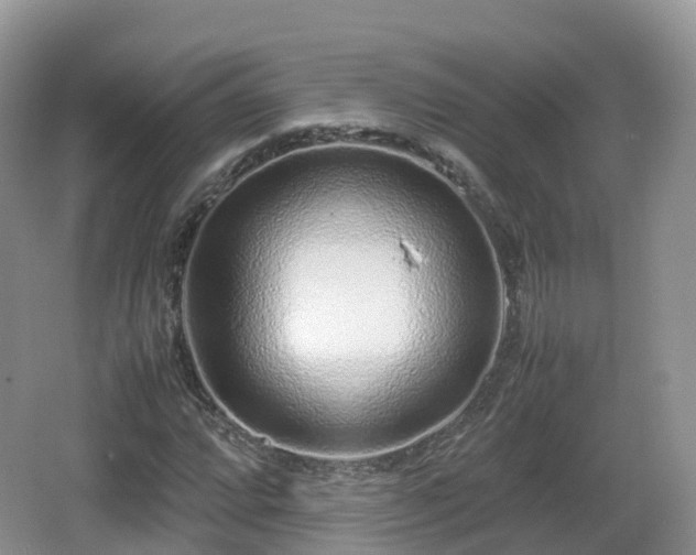 X0000067481064200604101223