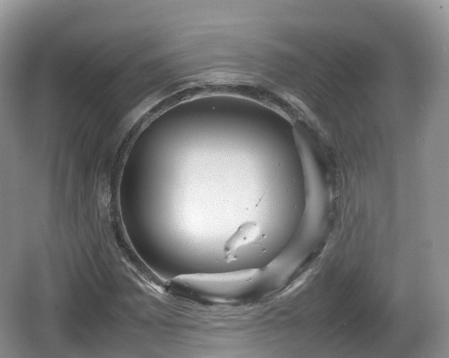 X0000067481065200604101223