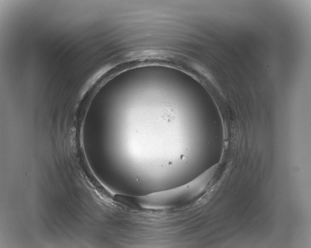 X0000067481066200604101223