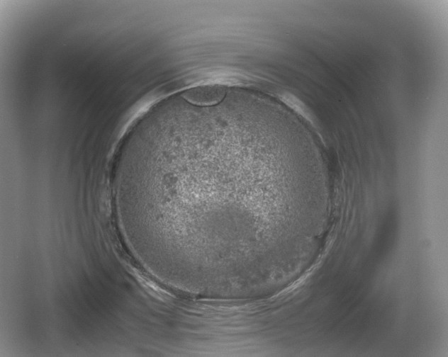 X0000067481067200604101223