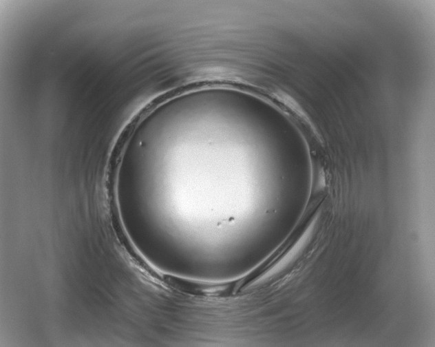 X0000067481068200604101223