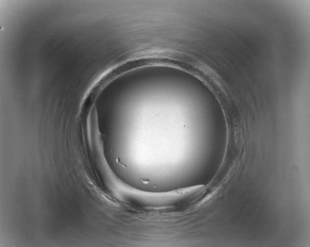 X0000067481069200604101223