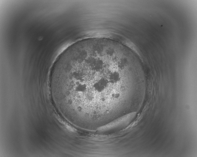 X0000067481071200604101223