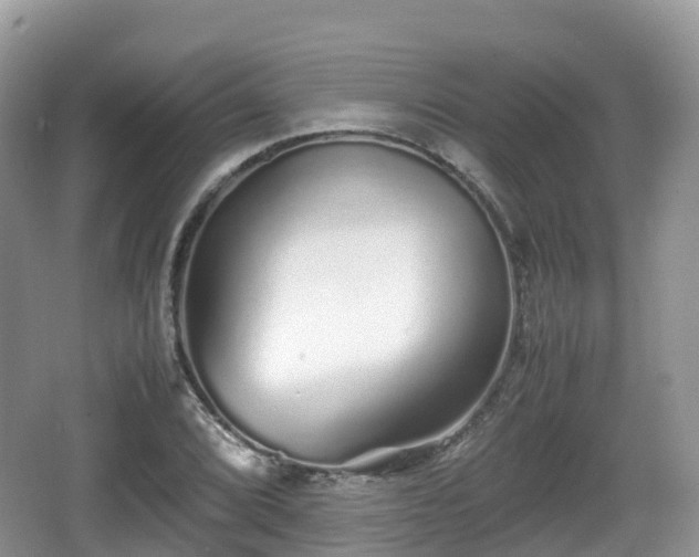 X0000067481072200604101223