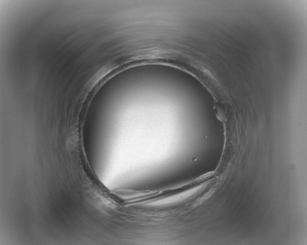 X0000067481073200604101223