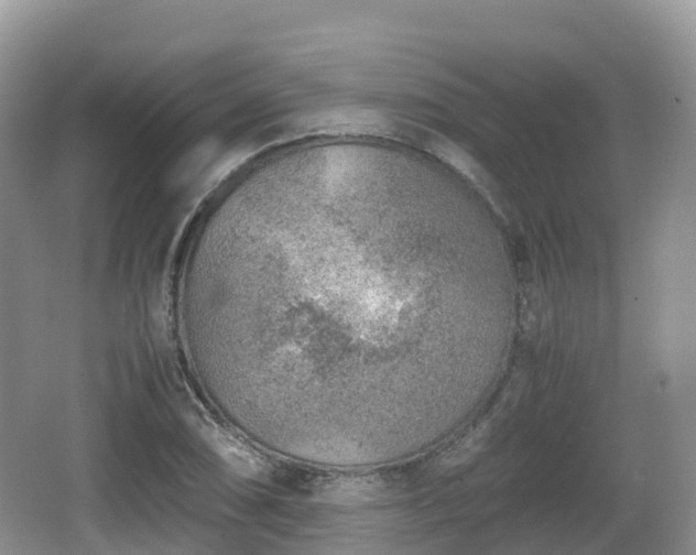 X0000067481074200604101223