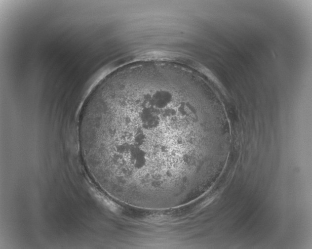 X0000067481075200604101223