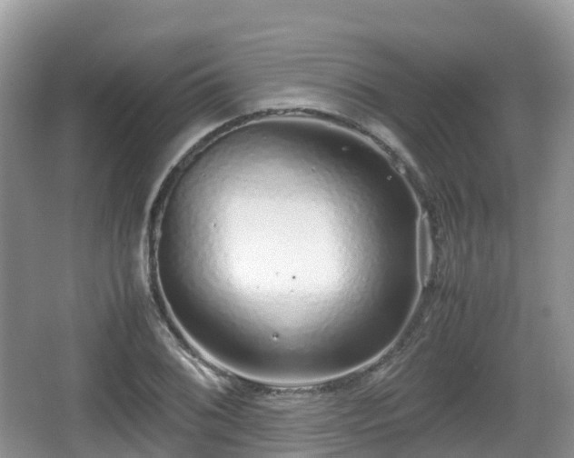 X0000067481076200604101223