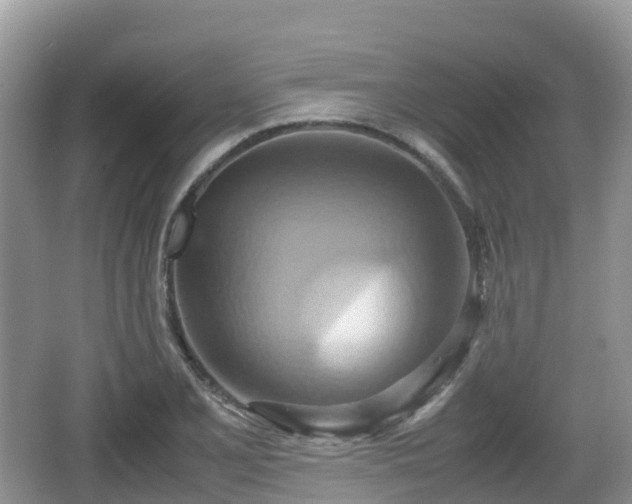 X0000067481077200604101223