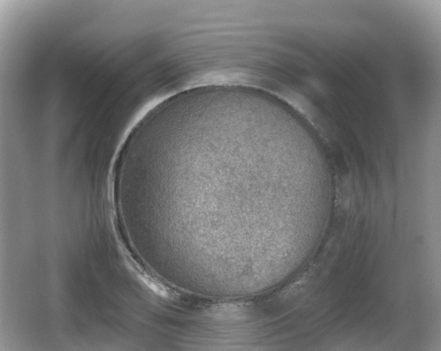 X0000067481078200604101223