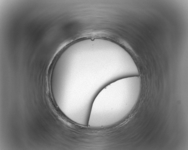 X0000067481079200604101223