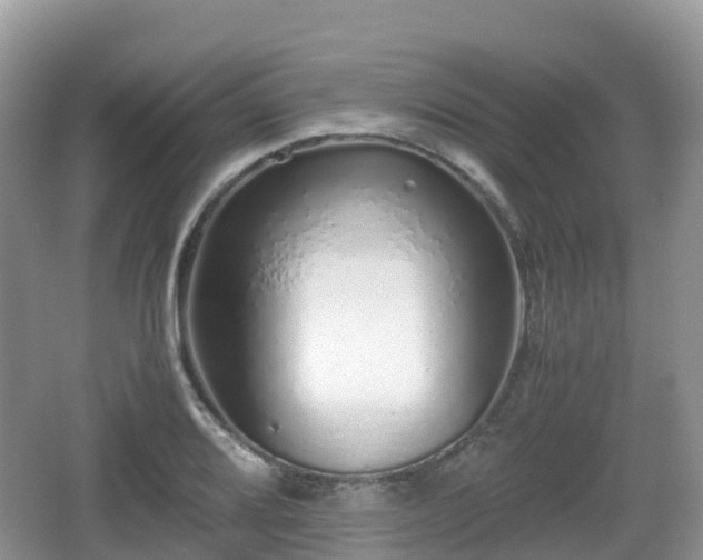 X0000067481080200604101223