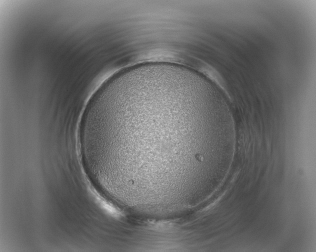 X0000067481082200604101223