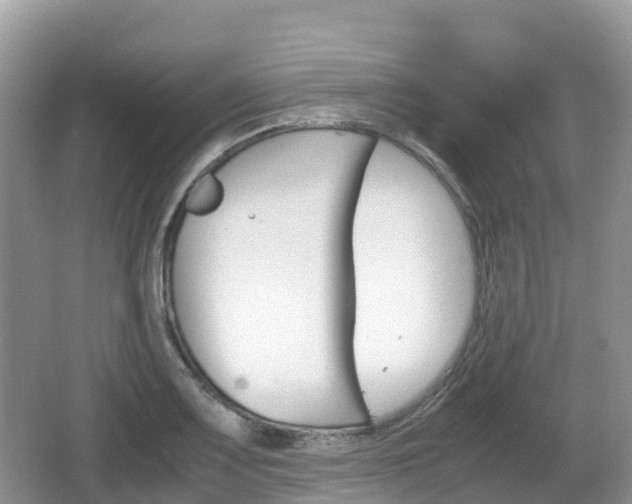 X0000067481083200604101223