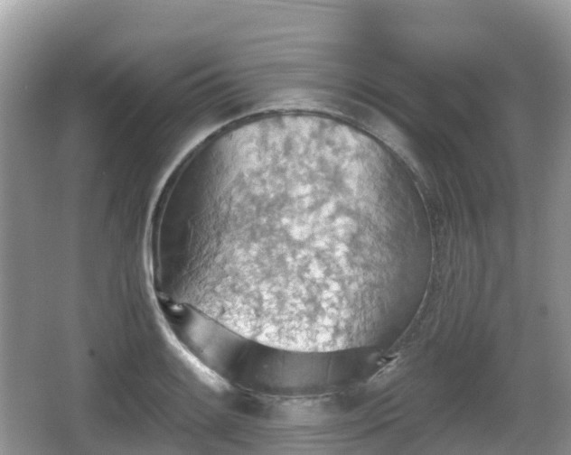 X0000067481084200604101223