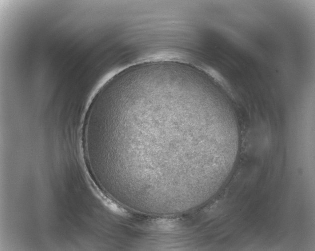 X0000067481086200604101223