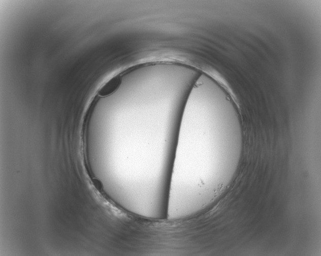 X0000067481088200604101223