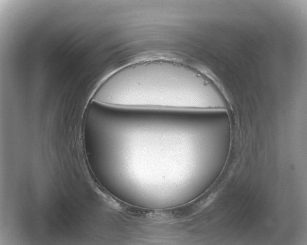 X0000067481089200604101223