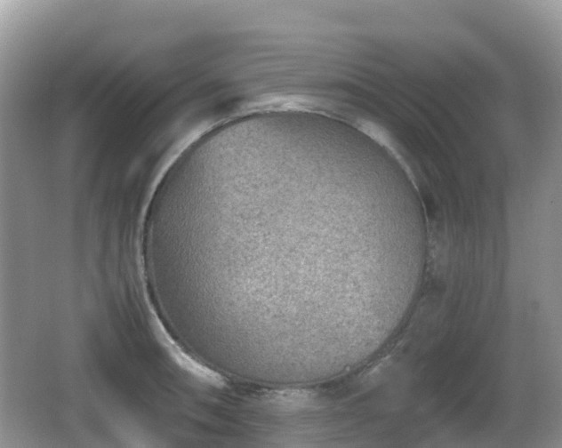 X0000067481090200604101223