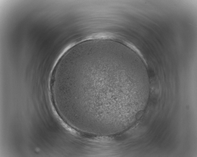 X0000067481091200604101223