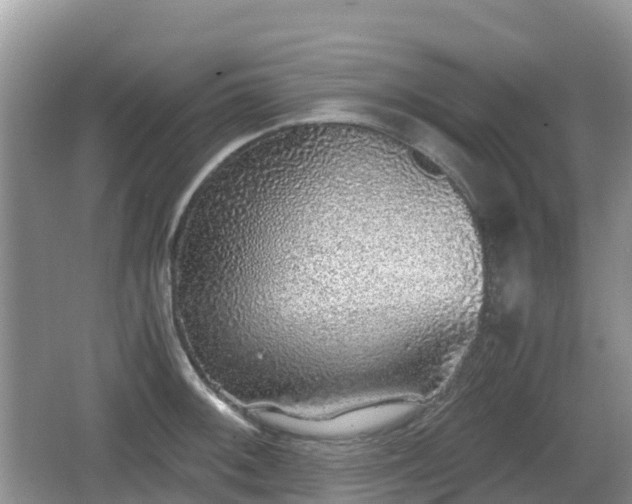 X0000067481092200604101223