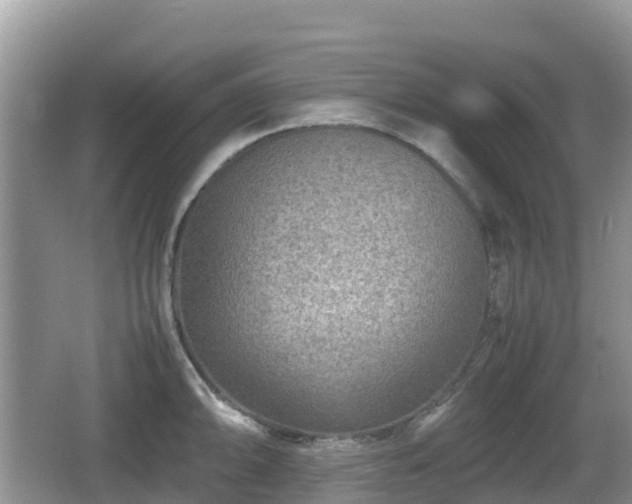 X0000067481094200604101223