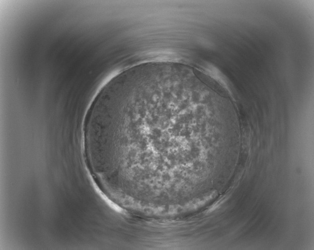 X0000067481095200604101223