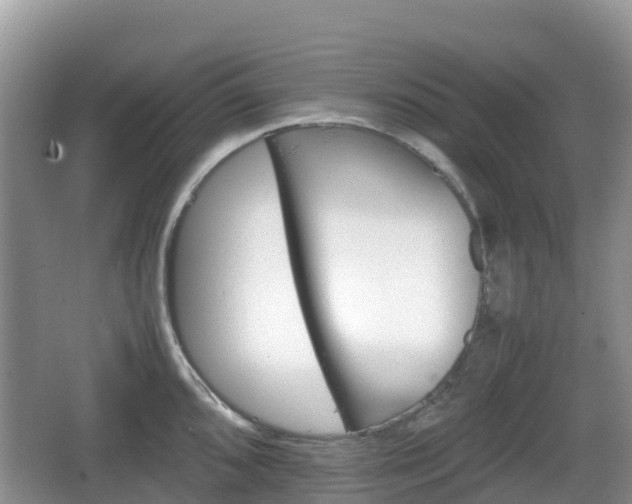 X0000067481096200604101223