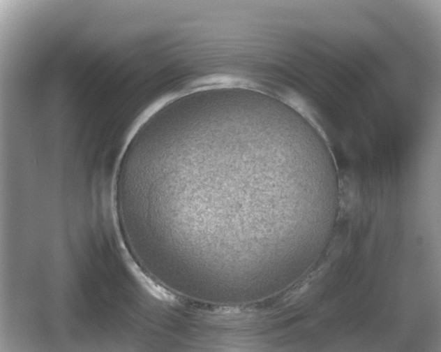 X0000067481098200604101223