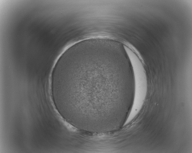 X0000067481099200604101223