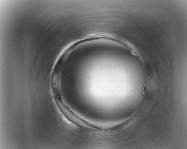 X0000067481102200604101223