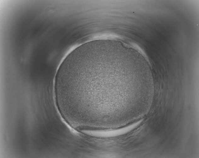 X0000067481103200604101223