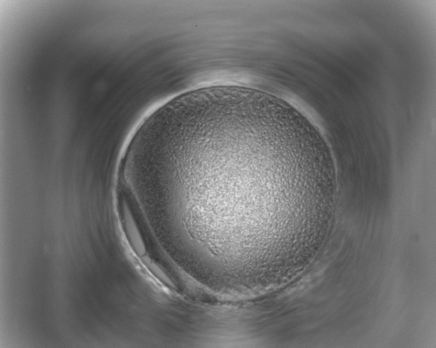 X0000067481104200604101223