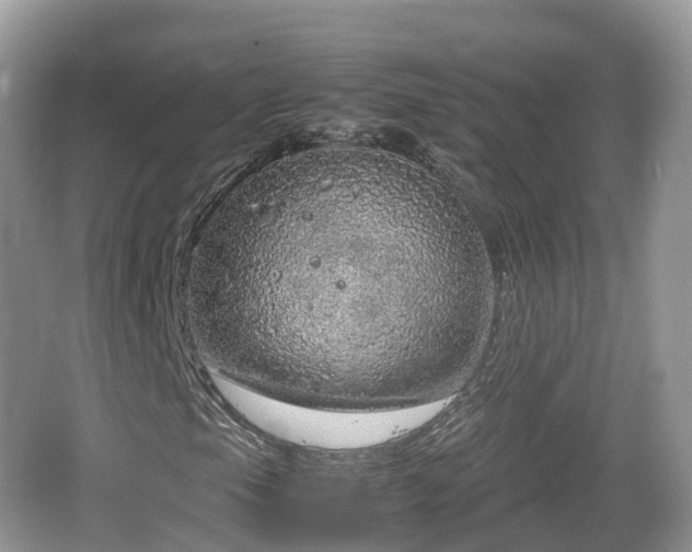 X0000067481105200604101222