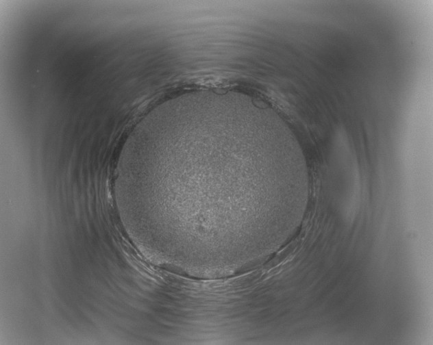 X0000067481106200604101222