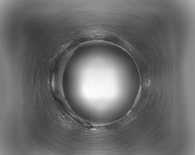 X0000067481108200604101222