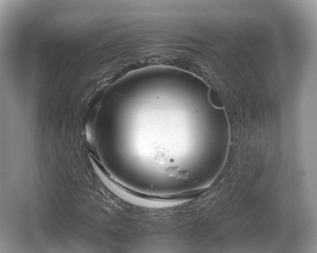 X0000067481109200604101222