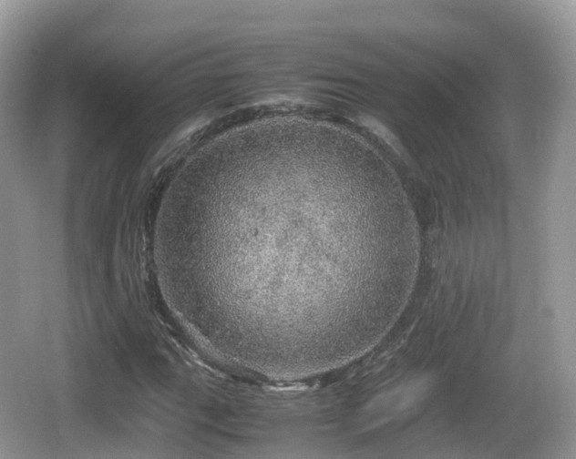 X0000067481111200604101222