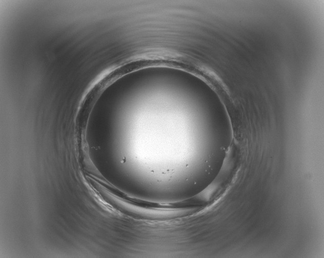 X0000067481114200604101222