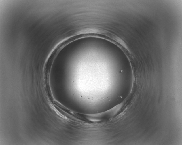 X0000067481116200604101222