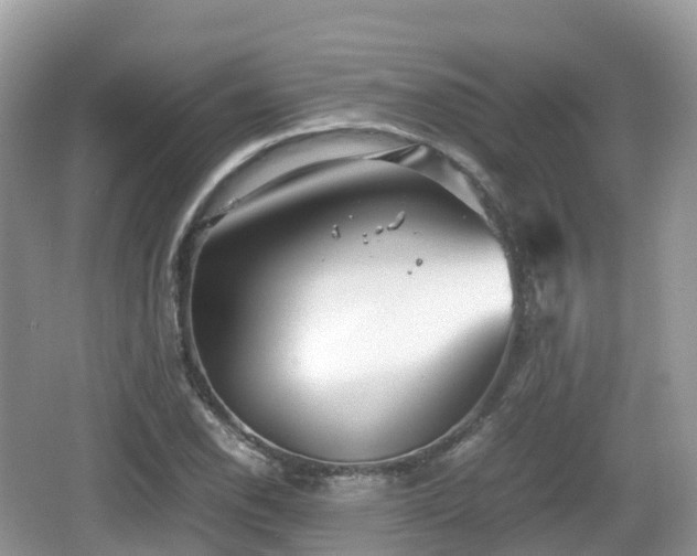 X0000067481118200604101222