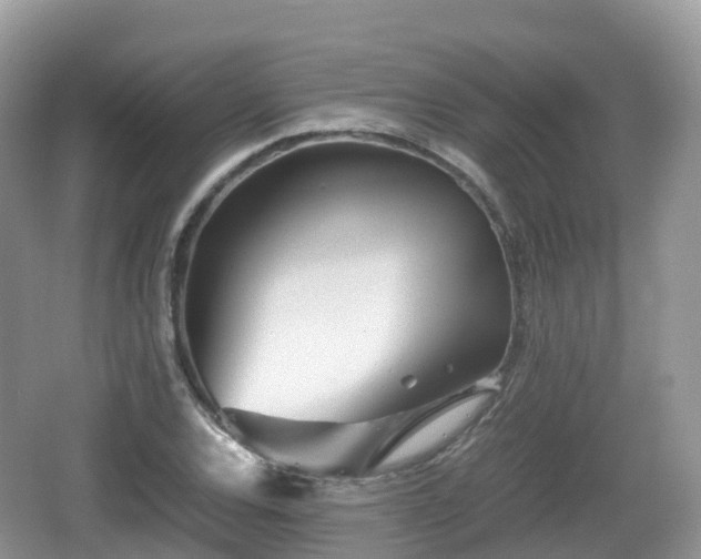 X0000067481120200604101222