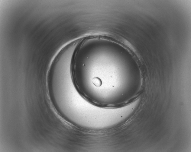 X0000067481124200604101222