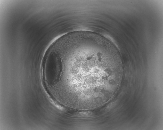 X0000067481125200604101222