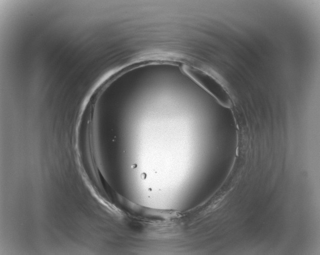 X0000067481128200604101222